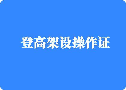 黑丝骚bb登高架设操作证